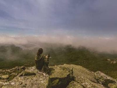 Amigurumi fantasy creatures