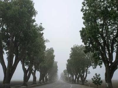 Aerial silk performance