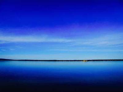 Recycled metal eagle sculpture
