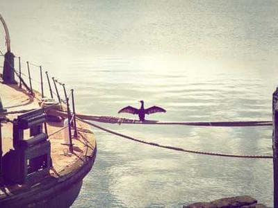 Web development illustration